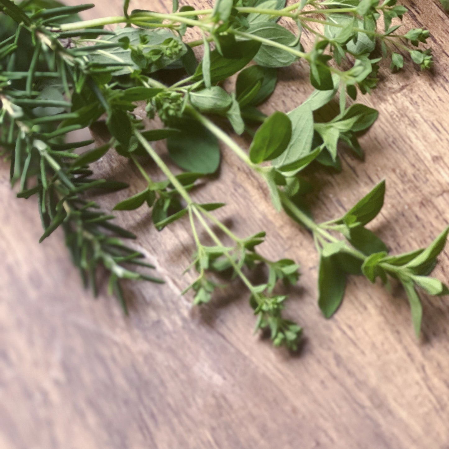 乾燥ハーブブレンドオレガノ＆ローズマリー（リーフタイプ）