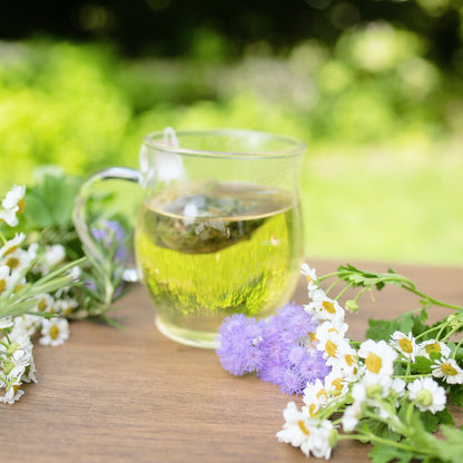 「元気を取り戻したい」人に。フィバーフューとレモンバーム、ローズマリーのブレントティー