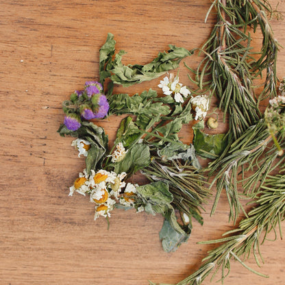 「元気を取り戻したい」人に。フィバーフューとレモンバーム、ローズマリーのブレントティー