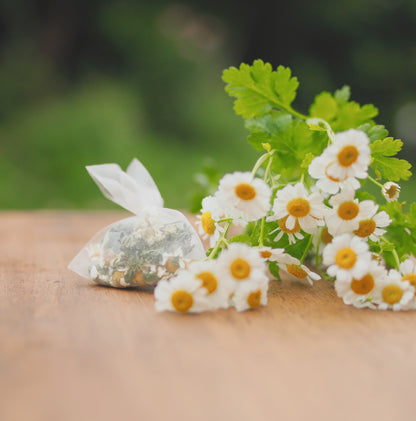 「良薬口に苦し」フィバーフューで活力と爽快感にアプローチ