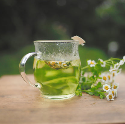 「良薬口に苦し」フィバーフューで活力と爽快感にアプローチ