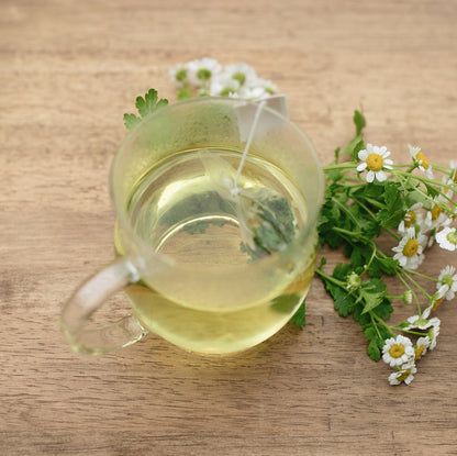 「良薬口に苦し」フィバーフューで活力と爽快感にアプローチ